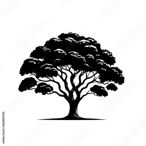 Mango Tree Vector Illustration with Tropical Green Foliage