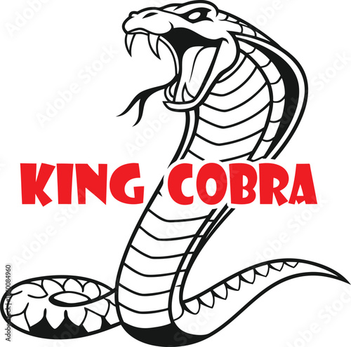 Illustration of a king cobra snake with mouth open ready to strike