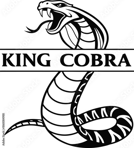 Illustration of a fierce king cobra snake with open mouth