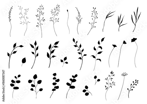 Silhouette spring wildflowers set. Black hand drawn vector illustration with summer flowers. Shadow of herb and plant.