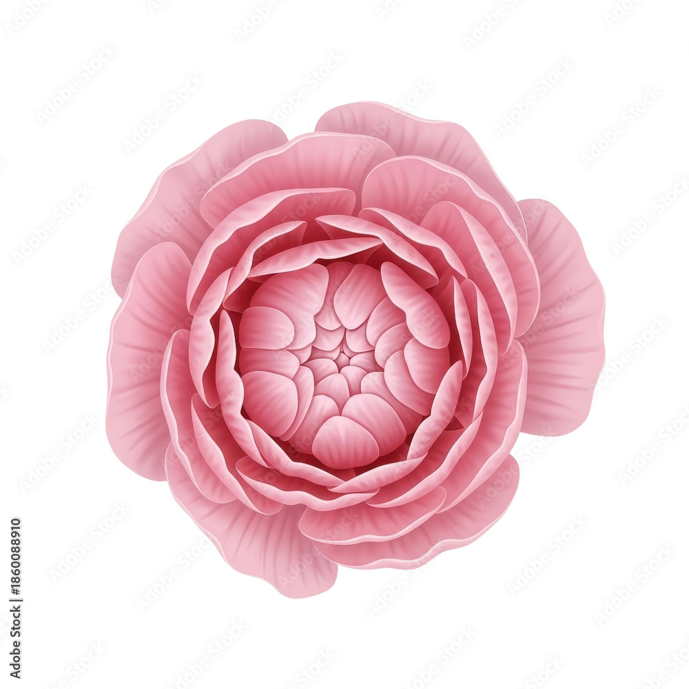 Obraz premium Aerial view of a delicate pink flower, pop art style, isolated on a white background