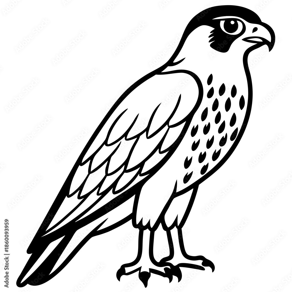Fototapeta premium Hunting Falcon Vector Illustration