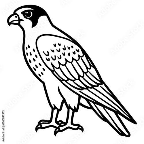 Hunting Falcon Vector Illustration