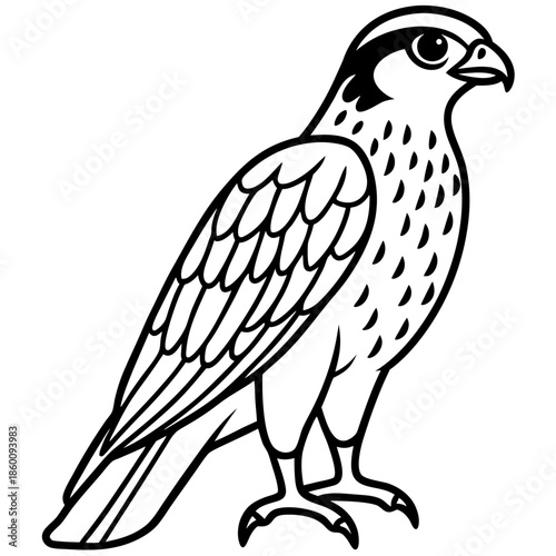 Hunting Falcon Vector Illustration