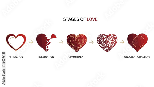 Stages of love relationship progression from attraction to unconditional love