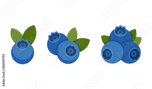 Fresh blueberries fruit set with green leaves isolated on white background healthy food vector illustration