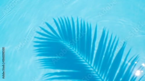 Reflection of palm leaf in clear blue water, summer poolside nature scene, bright natural light, tropical outdoor environment, top-down view