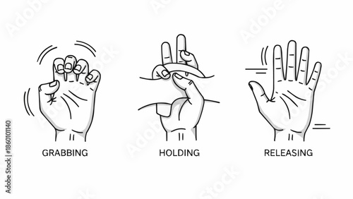 Human Hands Demonstrating Grabbing Holding Releasing Actions.