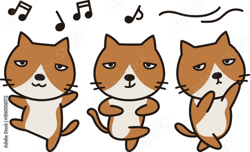 踊るハチワレ猫