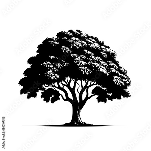 Mango Tree Vector Illustration with Healthy Tropical Canopy