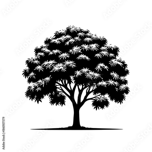 Mango Tree Vector Illustration with Lush Tropical Canopy