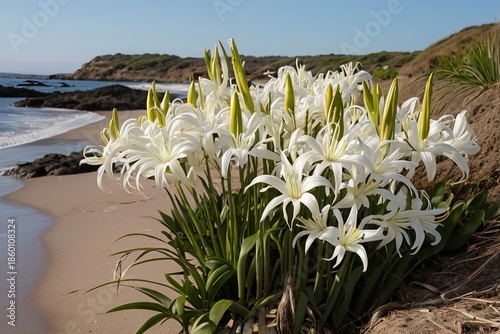 Wallpaper Mural Hymenocallis littoralis growing along shore Torontodigital.ca