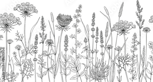Seamless border of hand drawn wild flowers and meadow herbs, black ink botanical field background, cad drawing flat vector illustration
