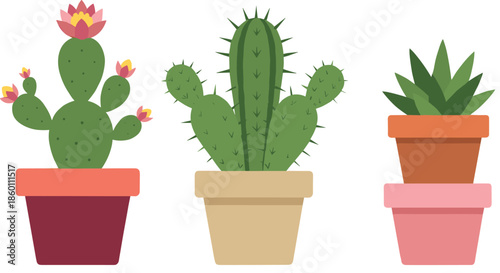 Cactus and succulent plants in ceramic pots collection featuring blooming prickly pear and desert greenery for indoor home garden and botanical design.