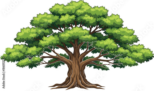 Large majestic green oak tree with wide leafy canopy and strong wooden roots for nature landscape environment park and outdoor forest vector design.