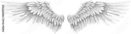 White angel wings illustration with detailed feathers spread symmetrically, spiritual heavenly symbol isolated on clean background vector artwork