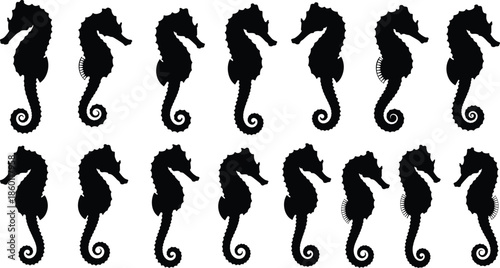 Black seahorse silhouettes set with various small marine fish in different curved poses isolated on white background for ocean design