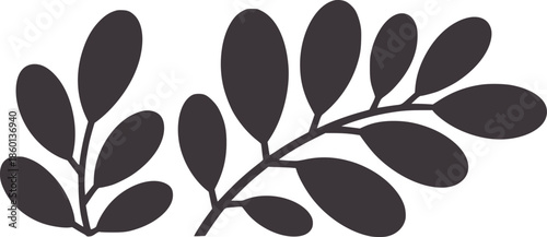 Dark gray simple leafy branch with seven elongated leaves editable plant