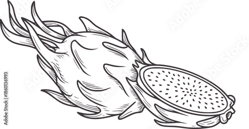 Detailed monochrome of a dragon fruit cut in half with leaves