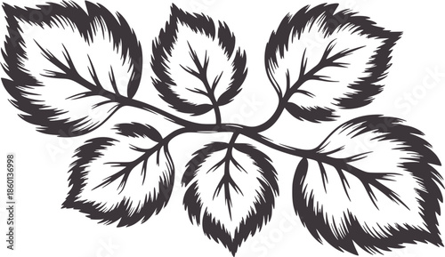 Detailed ink blot style of five serrated leaves a branch in monochrome