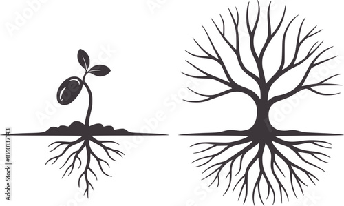 Minimalist black and of seedling and tree with roots 1