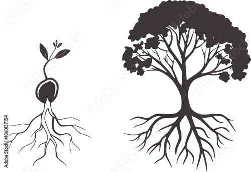Minimalist black and of seedling and tree with roots