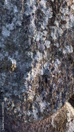 Pekatalinga megalith site is located in napu valley, east lore district, poso regency, Indonesia.