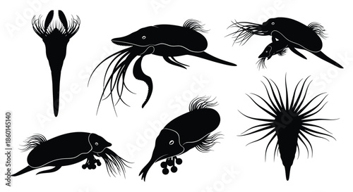 Collection of detailed sea creature silhouettes