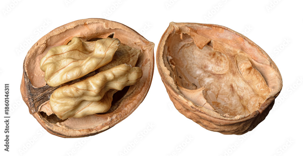 Fototapeta premium Walnut or Juglans regia with opened shell and kernel isolated on transparent or white background, png graphic design element 