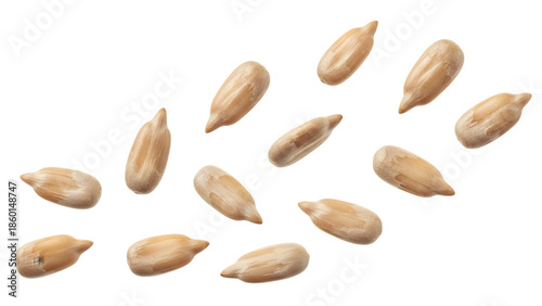 Close-up view of numerous peeled sunflower seeds scattered on a clean remove background png, ready for consumption or baking.
