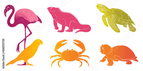 Colorful flat design of various animals isolated on white background, illustration