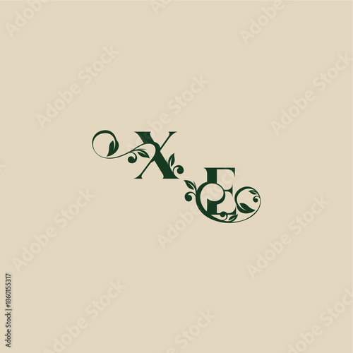 wedding organic logo EX concept of elegant beautifull with monogram and leaf letter