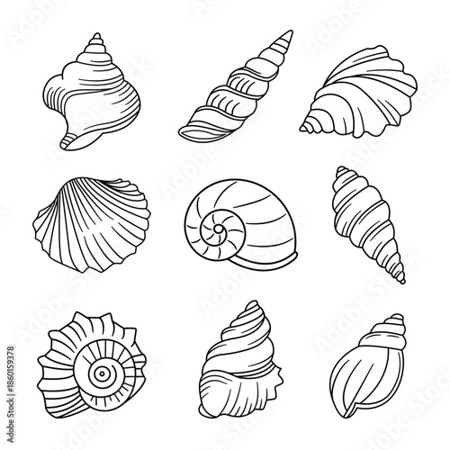 Outline Doodle Ocean Shell, Snail and Conch vector illustration