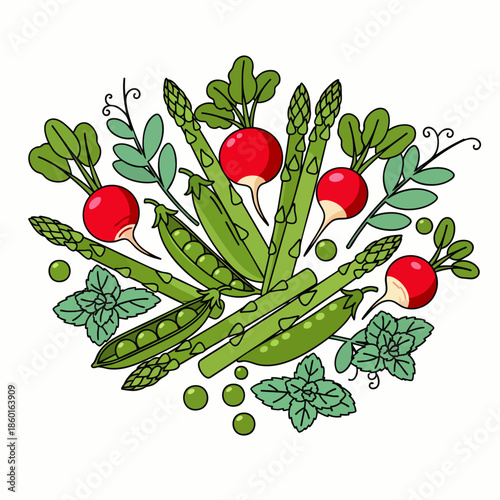 Vibrant Hand-Drawn Illustration of Fresh Spring Vegetables: Asparagus, Radishes, and Green Peas for Healthy Food Concepts