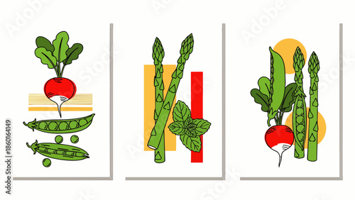Vibrant Hand-Drawn Vegetable Illustrations: Radishes, Peas, and Asparagus in a Modern, Minimalist Style