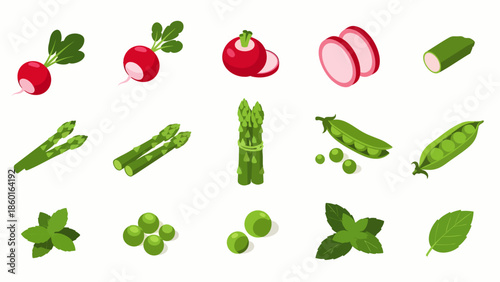 Collection of fresh vegetables and herbs, including radishes, asparagus, peas, cucumber, and mint leaves, isolated on white background.
