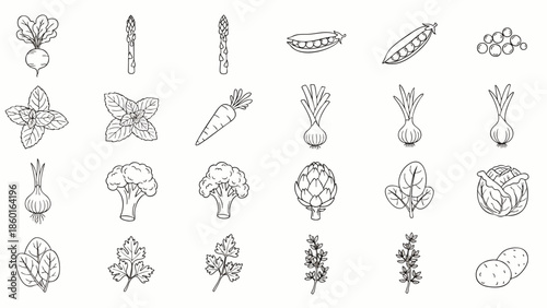 Collection of Hand-Drawn Vegetable Icons: Fresh Produce for Healthy Eating and Cooking Illustrations