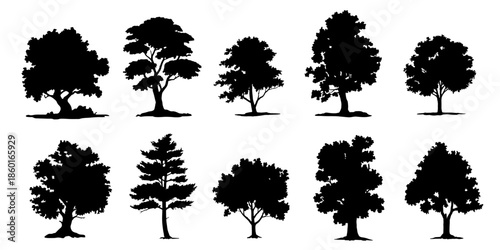 tree silhouettes volume 2