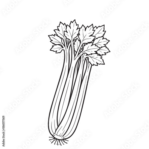 A black and white vector design of celery plants showing elegant stems and leaves, illustrated with smooth outlines, balanced shapes, and a minimalist botanical illustration style.
