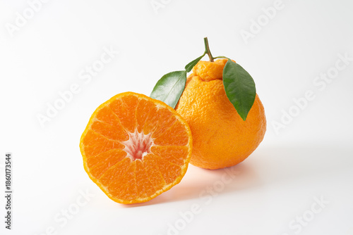 熊本デコポン（不知火）　イメージ