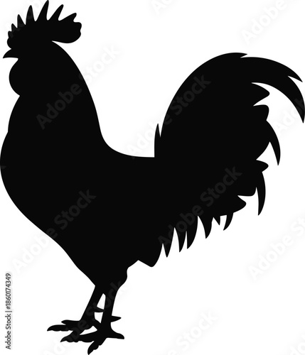 Black rooster silhouette isolated on white background, poultry, cock, bird, farm, animal, livestock, male, chicken, morning, sunrise, nature, rural, icon.