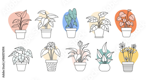 Collection of stylized indoor potted plant line art icons with soft pastel color backgrounds for home and garden decor projects.