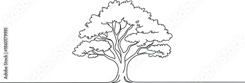 This elegant single continuous line drawing depicts a large, well established tree with a wide canopy