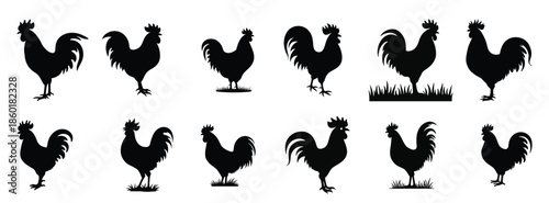 Multiple Black Rooster Silhouettes on White Background