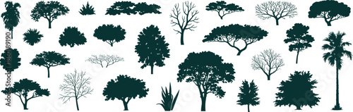 Black tree silhouettes illustration set, various forest plants palms bushes shapes, nature landscape elements collection, isolated vector design