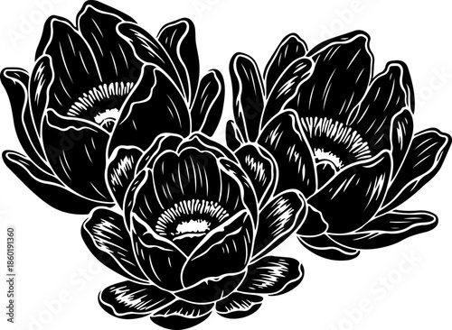 Abstract Black Silhouette Three Rafflesia Flowers