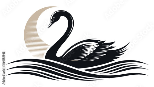 Elegant black swan swimming in water with crescent moon