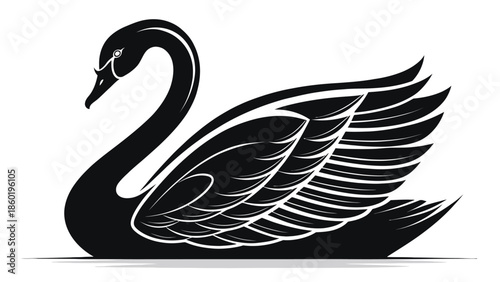 Elegant black swan with detailed feathers on white background
