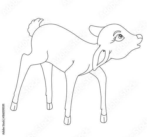 Cute cartoon hand drawn vector fawn or baby deer outline.