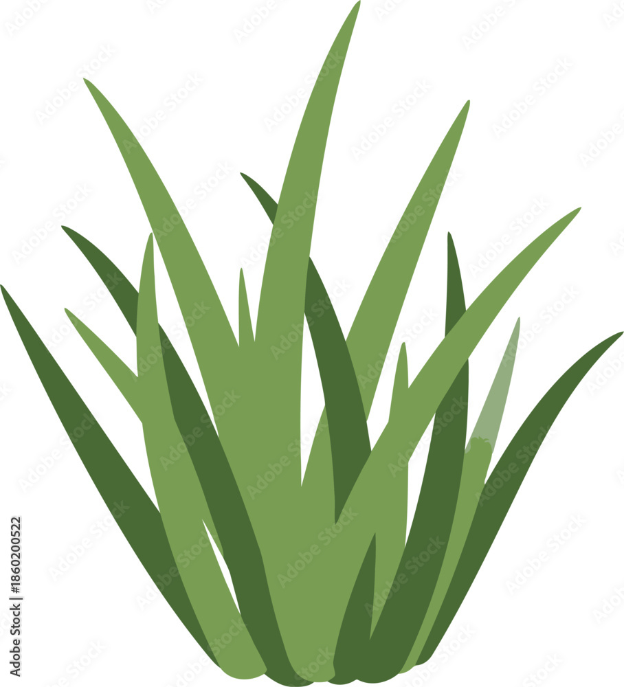 Obraz premium Vector Illustration of Green Grass Clump Isolated on White for Landscaping and Nature Design